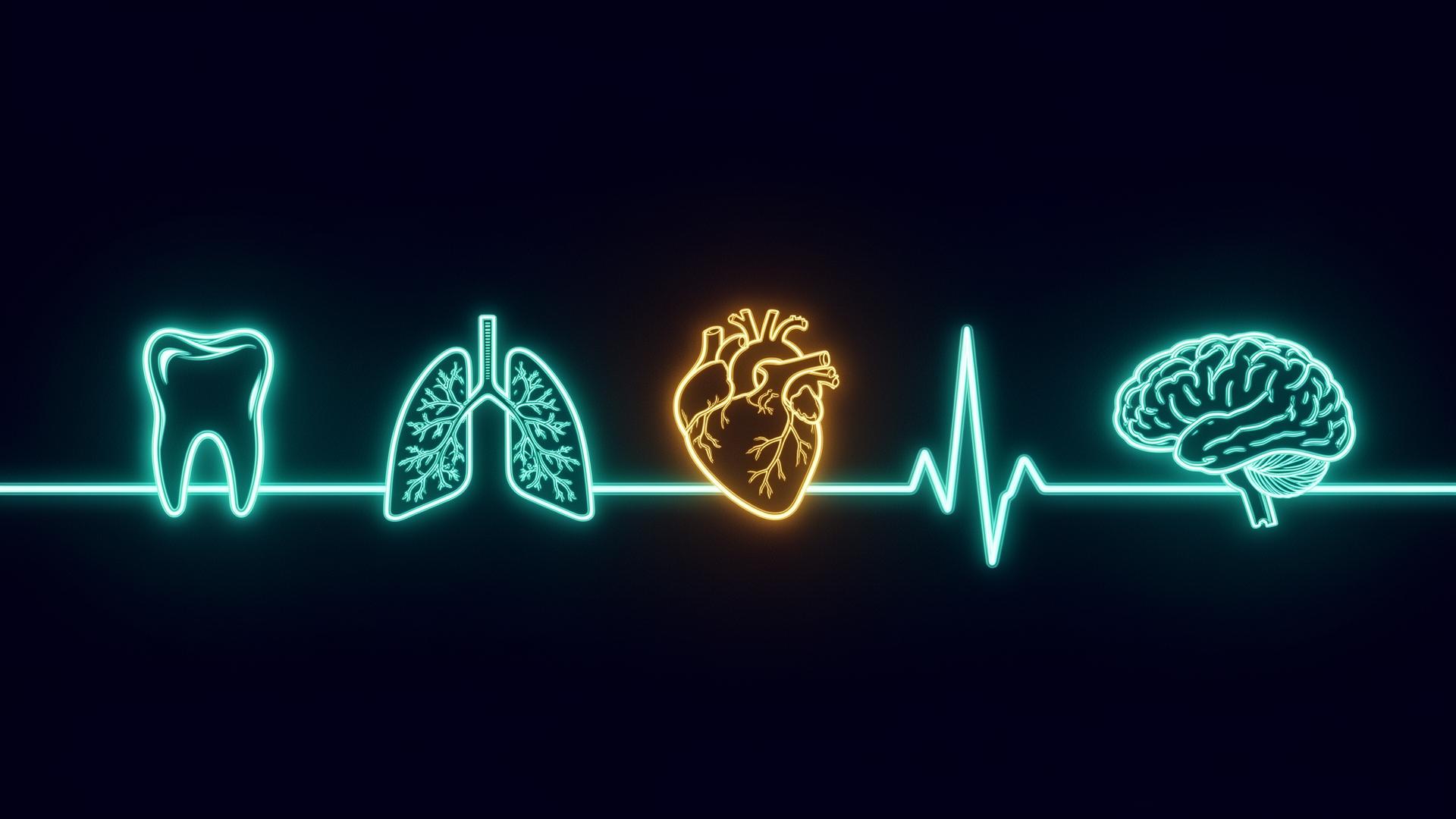 Glowing neon heartbeat with tooth, lungs, heart and brain icons